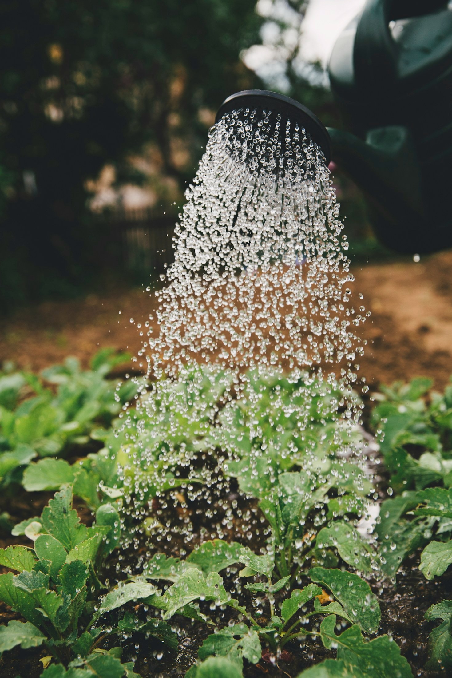 Warum Gemeinschaft in der Gartenarbeit wichtig ist